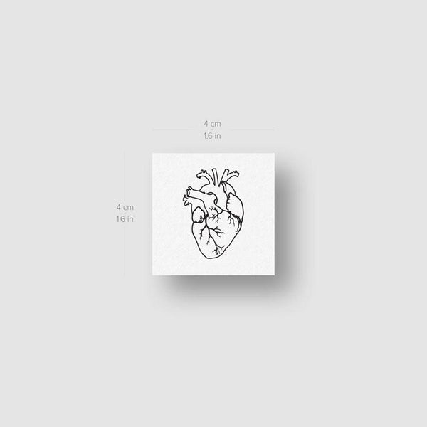 Anatomical Heart Temporary Tattoo - Set of 3