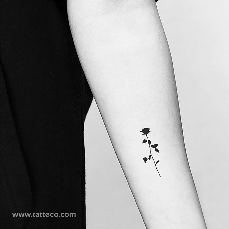 Tatuaje temporal de rosa negra - Juego de 3