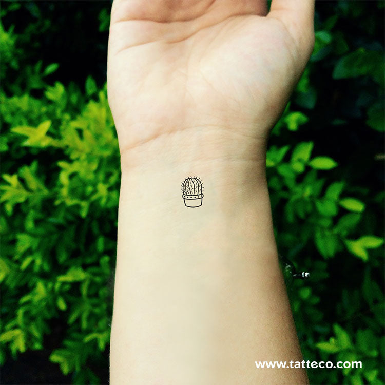 Barrel Cactus Temporary Tattoo - Set of 3