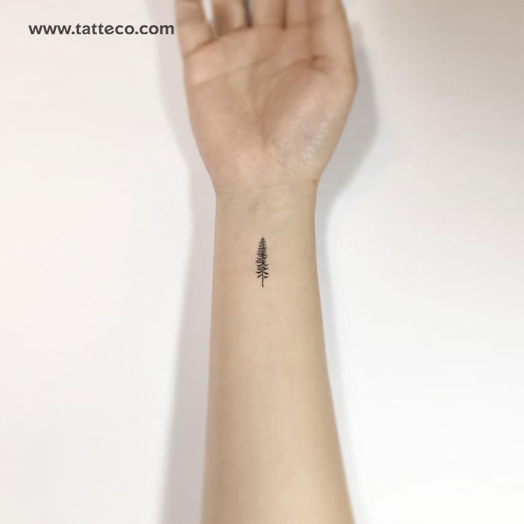 Conifer Tree Temporary Tattoo - Set of 3