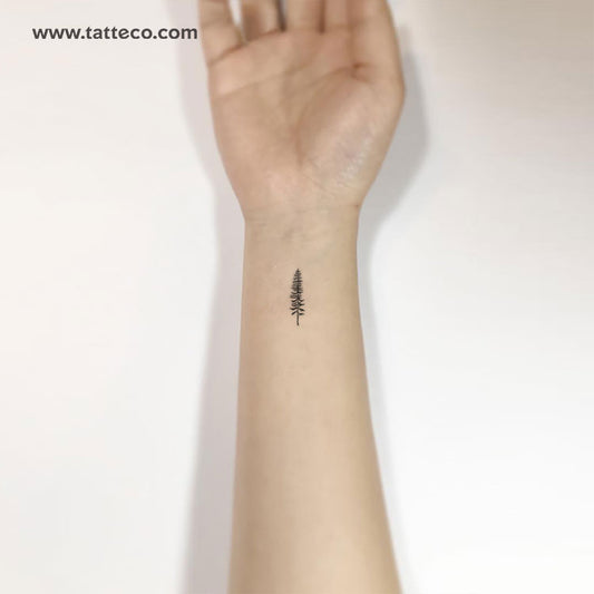 Tatuaje temporal de árbol de coníferas - Juego de 3