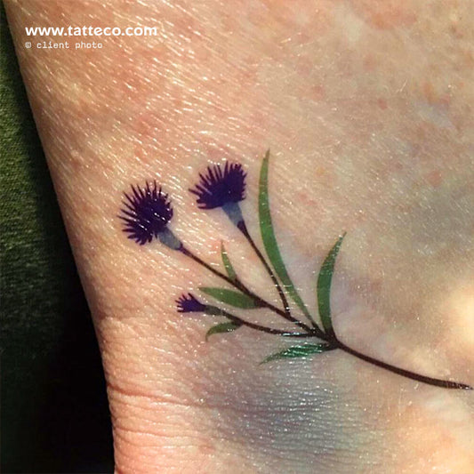 Tatuaje temporal de aciano de Zihee (juego de 3)