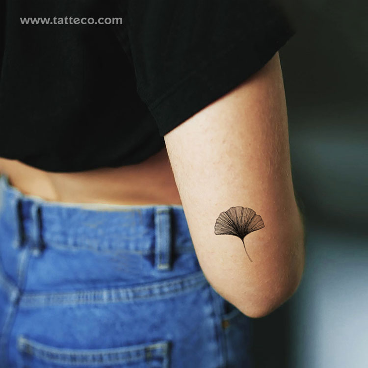 Ginkgo Leaf Temporary Tattoo - Set of 3