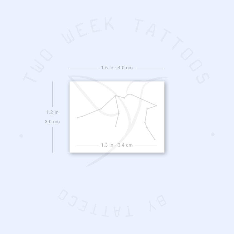 Small Aquarius Constellation Semi-Permanent Tattoo - Set of 2