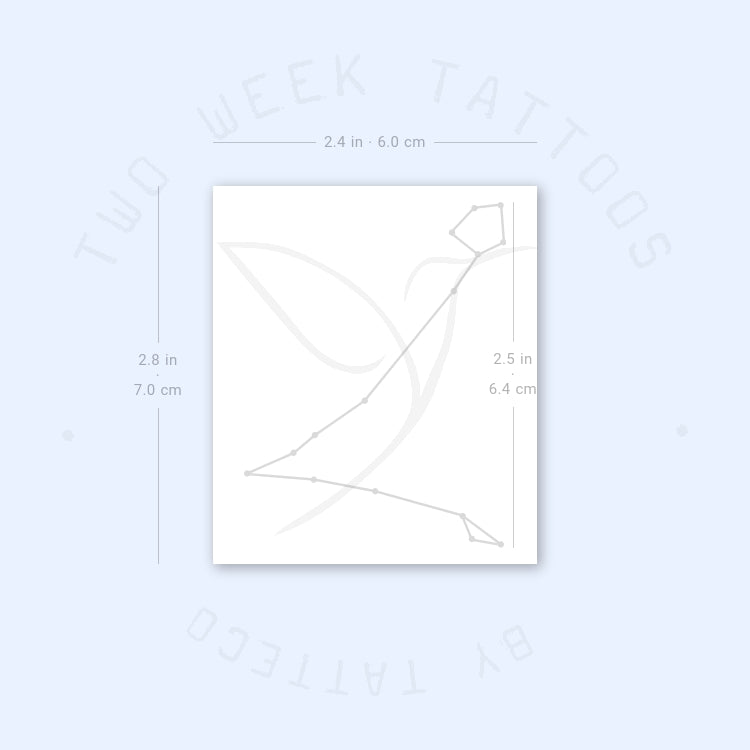 Pisces Constellation Semi-Permanent Tattoo - Set of 2