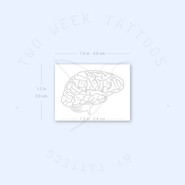 Brain Semi-Permanent Tattoo - Set of 2