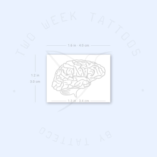 Brain Semi-Permanent Tattoo - Set of 2