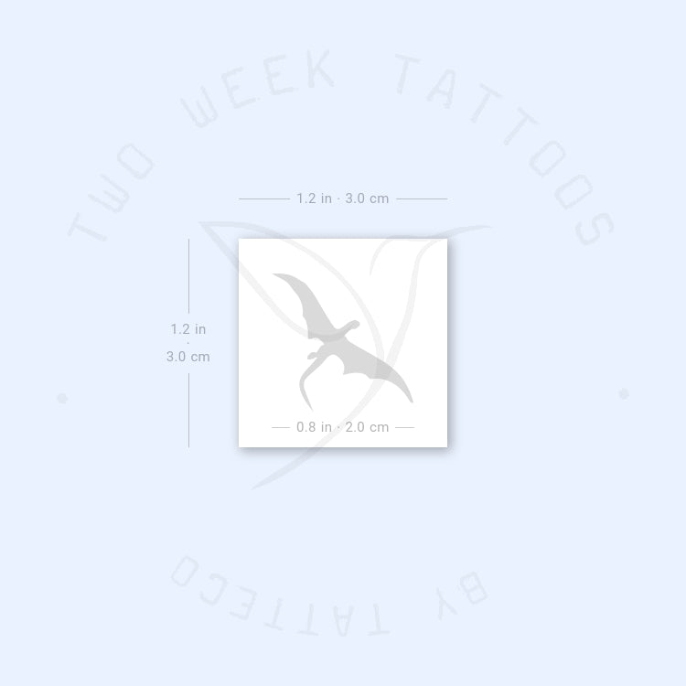 Flying Dragon Semi-Permanent Tattoo - Set of 2