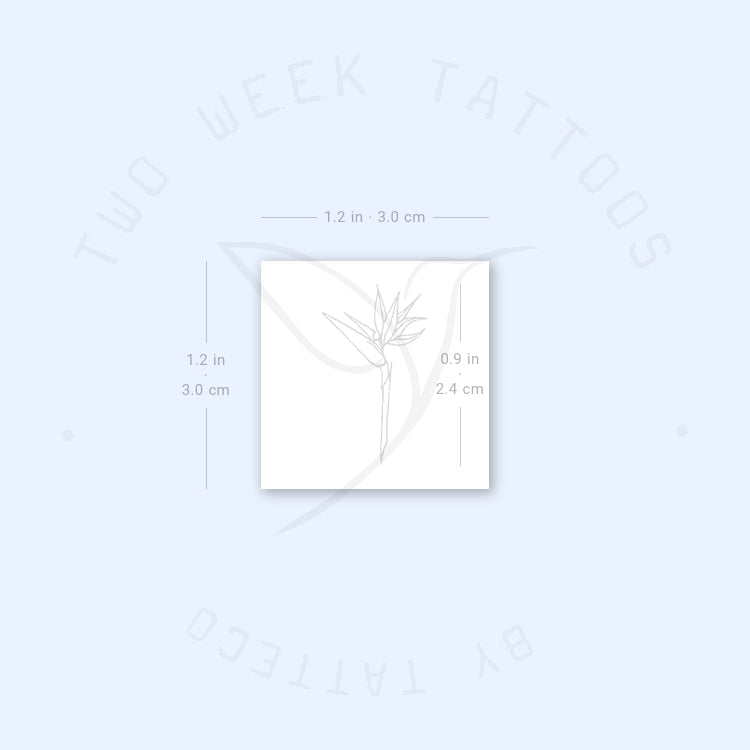 Bird Of Paradise Semi-Permanent Tattoo - Set of 2