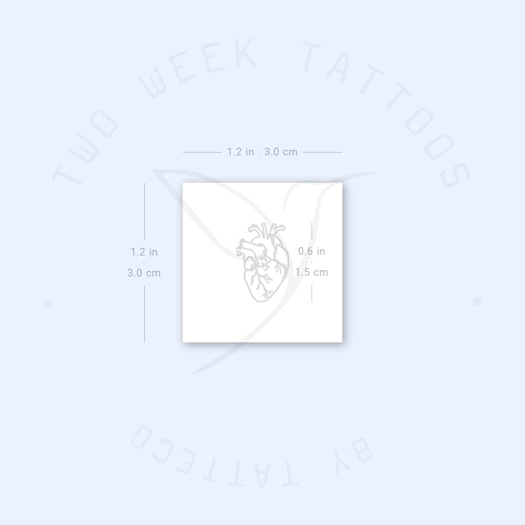 Tiny Anatomical Heart Semi-Permanent Tattoo - Set of 2