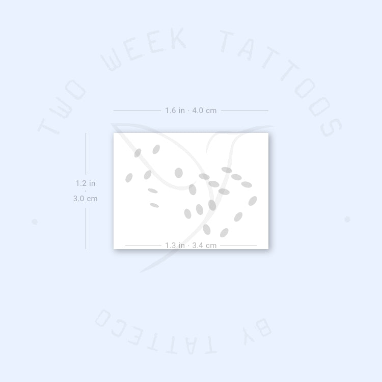 Minimalist Dice Semi-Permanent Tattoo - Set of 2