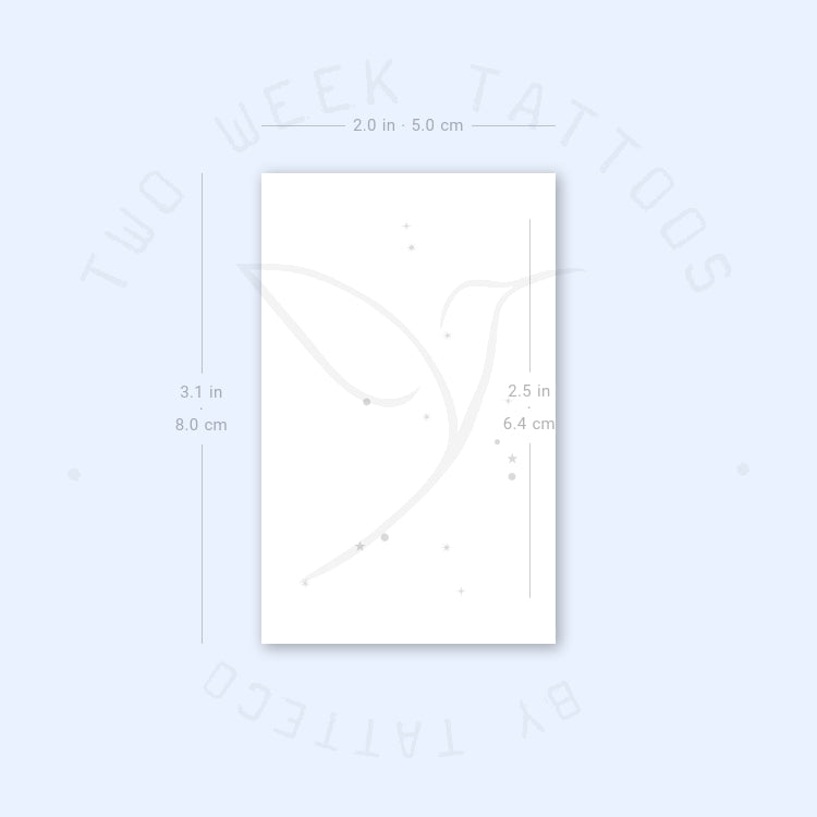 Minimalist Aquarius Constellation Semi-Permanent Tattoo - Set of 2