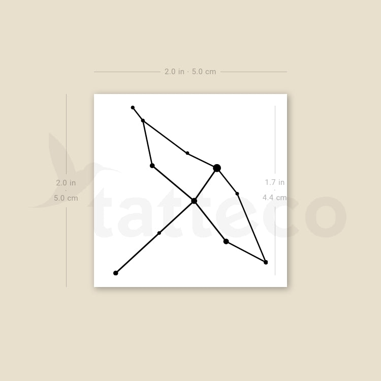 Cygnus Constellation Temporary Tattoo - Set of 3
