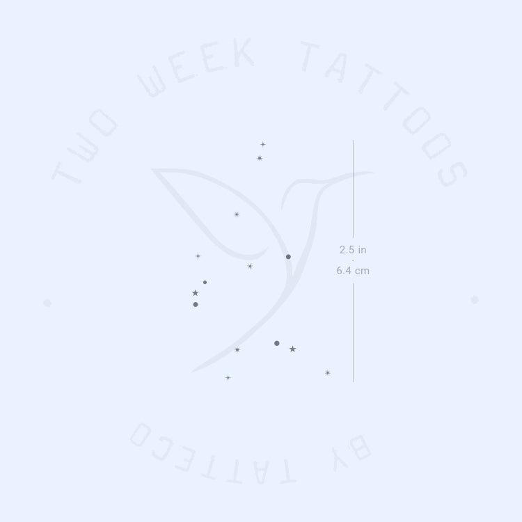 Minimalist Aquarius Constellation Semi-Permanent Tattoo - Set of 2