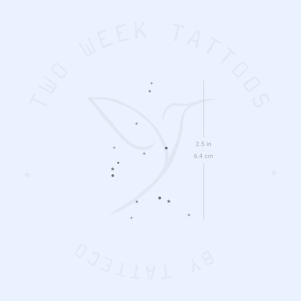 Minimalist Aquarius Constellation Semi-Permanent Tattoo - Set of 2