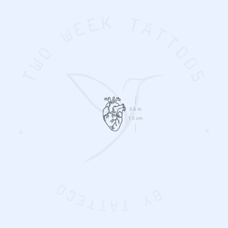 Tiny Anatomical Heart Semi-Permanent Tattoo - Set of 2