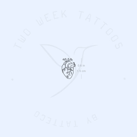 Tatuaje semipermanente de corazón anatómico pequeño (juego de 2)