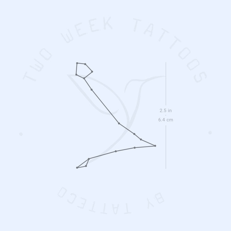 Pisces Constellation Semi-Permanent Tattoo - Set of 2