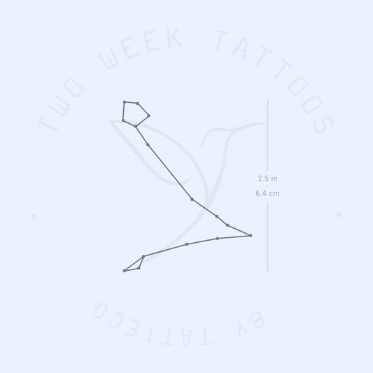 Tatuaje semipermanente de la constelación de Piscis (juego de 2)