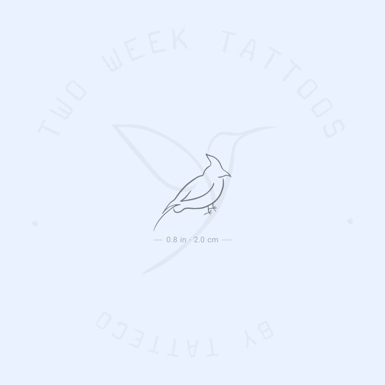 Tatuaje semipermanente de cardenal - Juego de 2