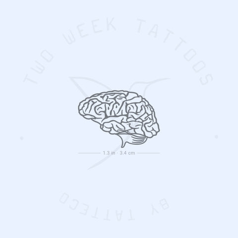 Brain Semi-Permanent Tattoo - Set of 2