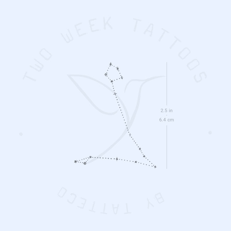 Tatuaje semipermanente de puntos de Piscis (juego de 2)