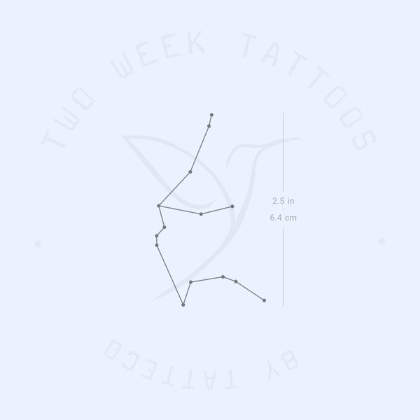 Aquarius Constellation Semi-Permanent Tattoo - Set of 2