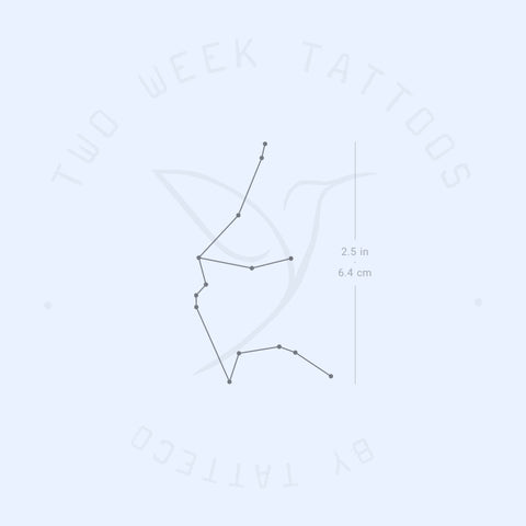 Aquarius Constellation Semi-Permanent Tattoo - Set of 2