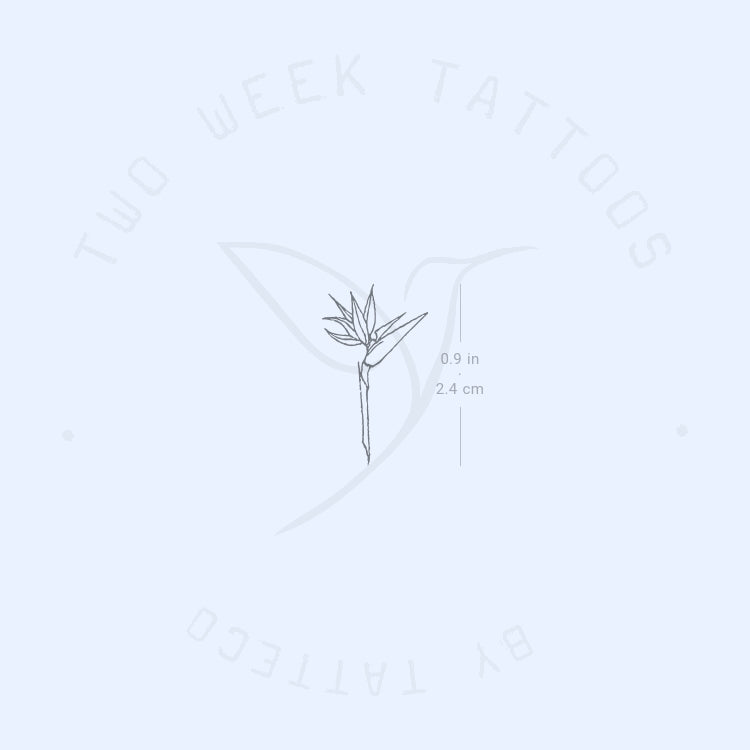 Bird Of Paradise Semi-Permanent Tattoo - Set of 2