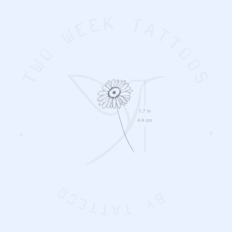 Sketchy Daisy Semi-Permanent Tattoo - Set of 2