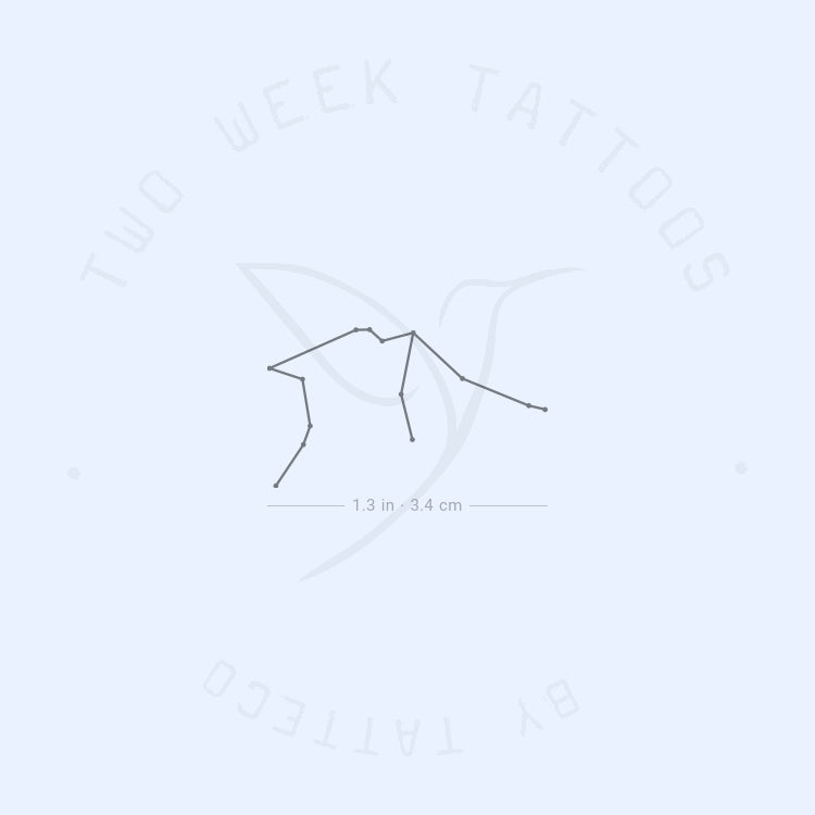 Small Aquarius Constellation Semi-Permanent Tattoo - Set of 2