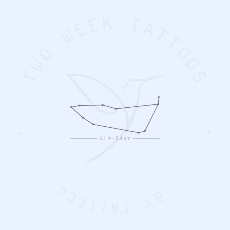 Capricornus Constellation Semi-Permanent Tattoo - Set of 2