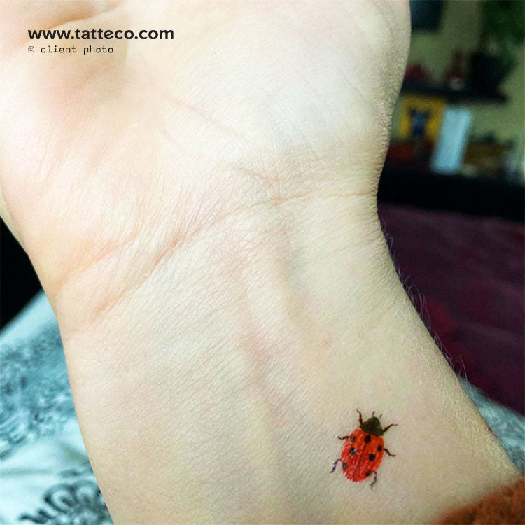 Ladybug Temporary Tattoo - Set of 3