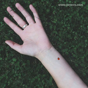 Ladybug Temporary Tattoo - Set of 3