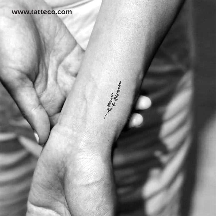 lavender plant tattoo Fine Line Lavender Temporary Tattoo