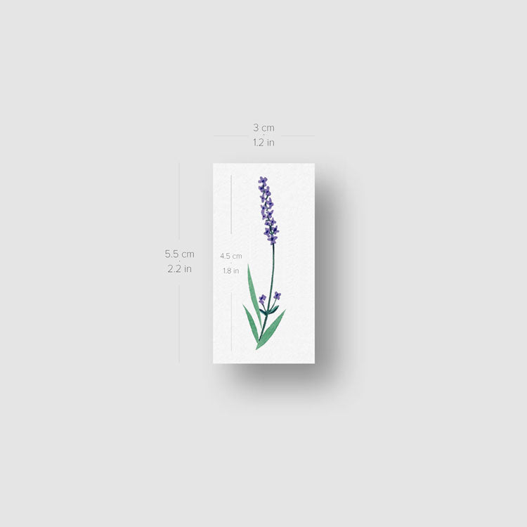 Tatuaje temporal de lavanda de Zihee - Juego de 3