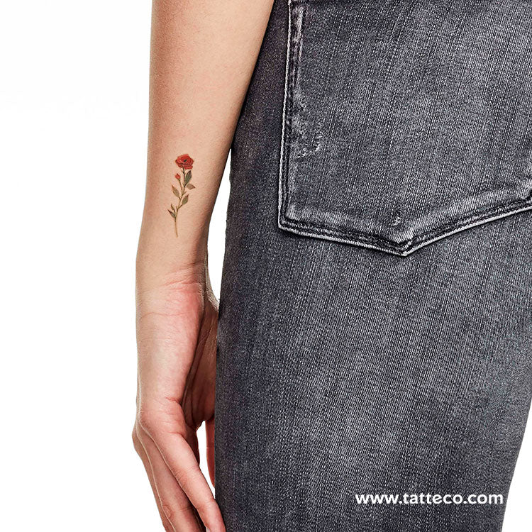 Tatuaje temporal de rosa roja en acuarela (juego de 3)