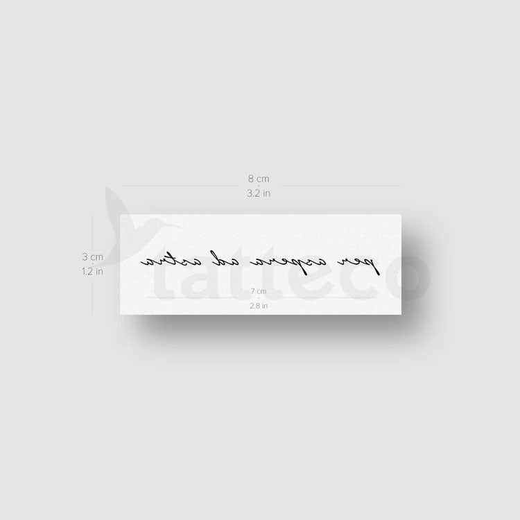 Per Aspera Ad Astra Temporary Tattoo - Set of 3