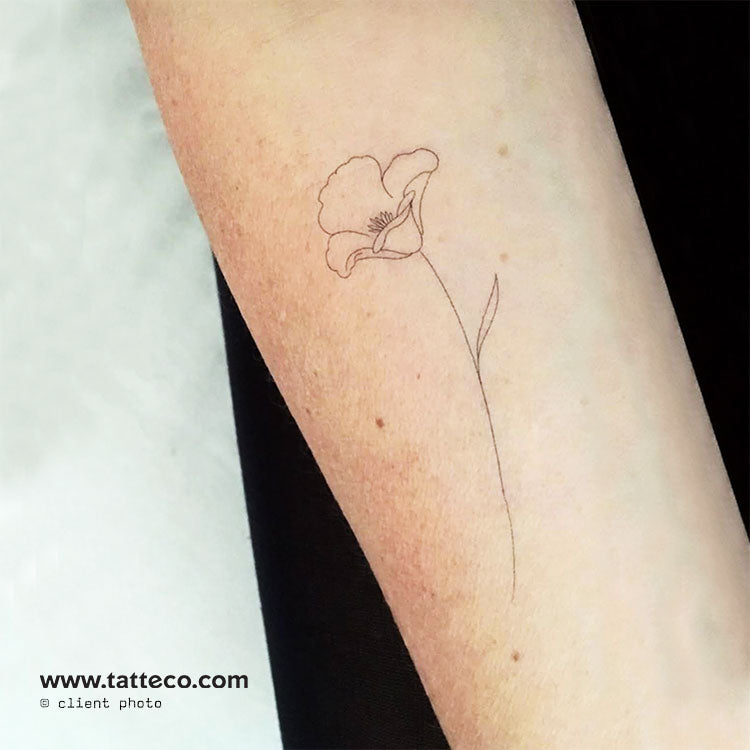 Poppy by Jakenowicz Temporary Tattoo - Set of 3