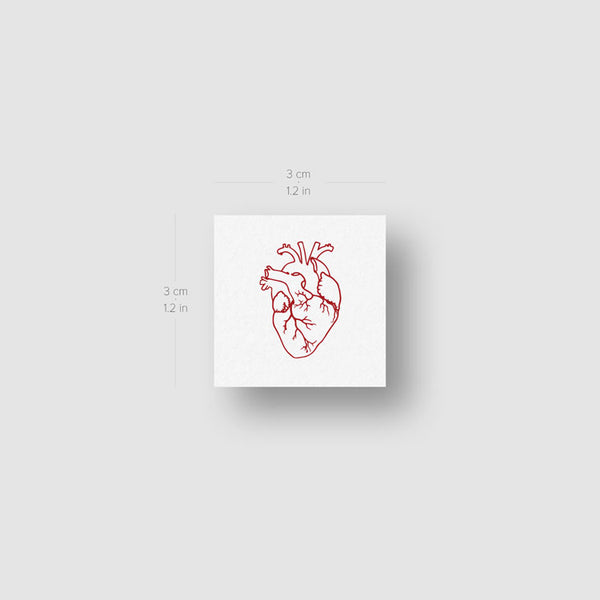 Small Red Anatomical Heart Temporary Tattoo - Set of 3