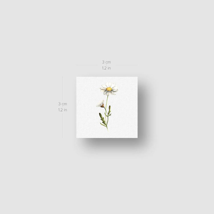 Small Watercolor Daisy Temporary Tattoo - Set of 3