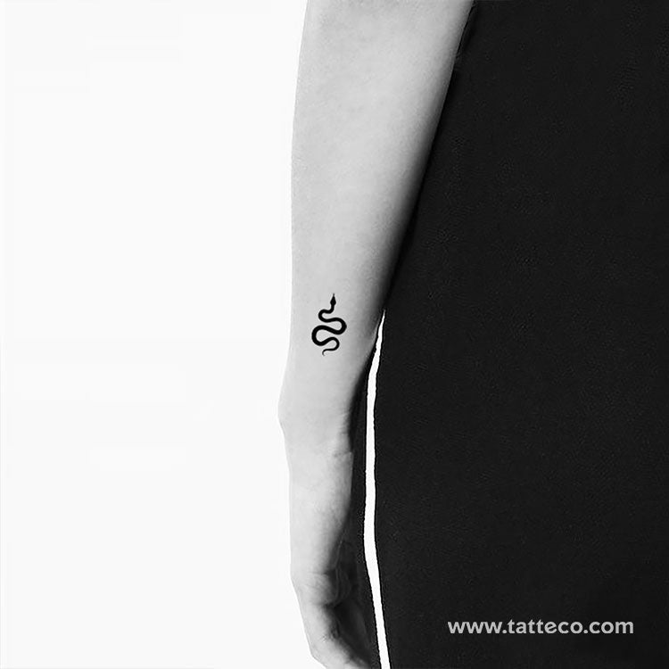 Tatuaje temporal de serpiente negra pequeña - Juego de 3