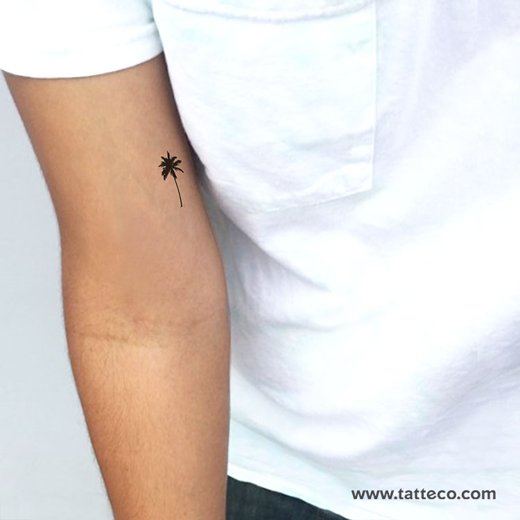 Small Palm Tree Temporary Tattoo - Set of 3