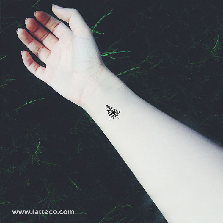Small Pine Tree Temporary Tattoo - Set of 3