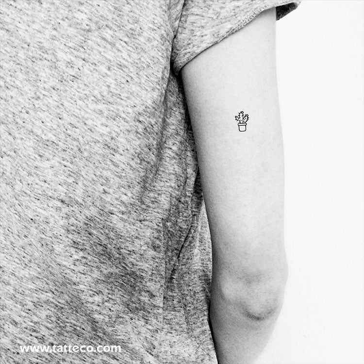 Cactus Temporary Tattoo - Set of 3