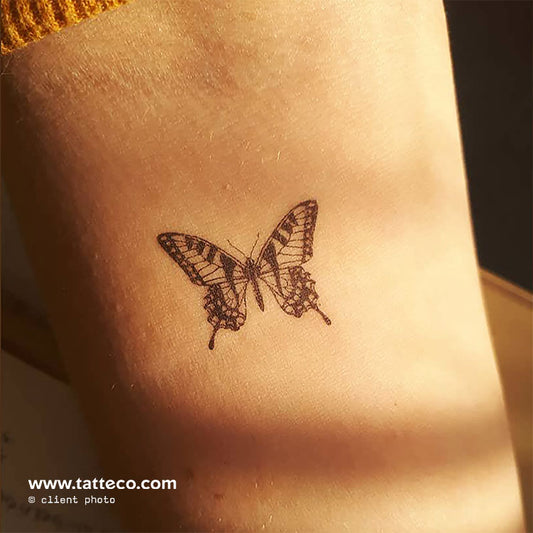 Tatuaje temporal de mariposa tigre (juego de 3)