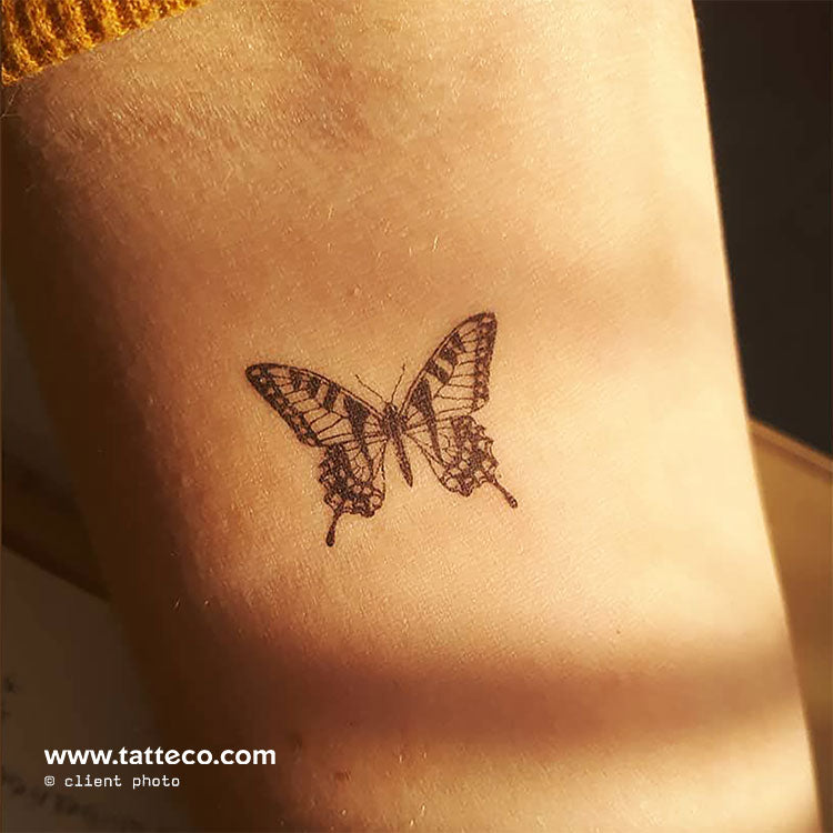 Tiger Butterfly Temporary Tattoo - Set of 3