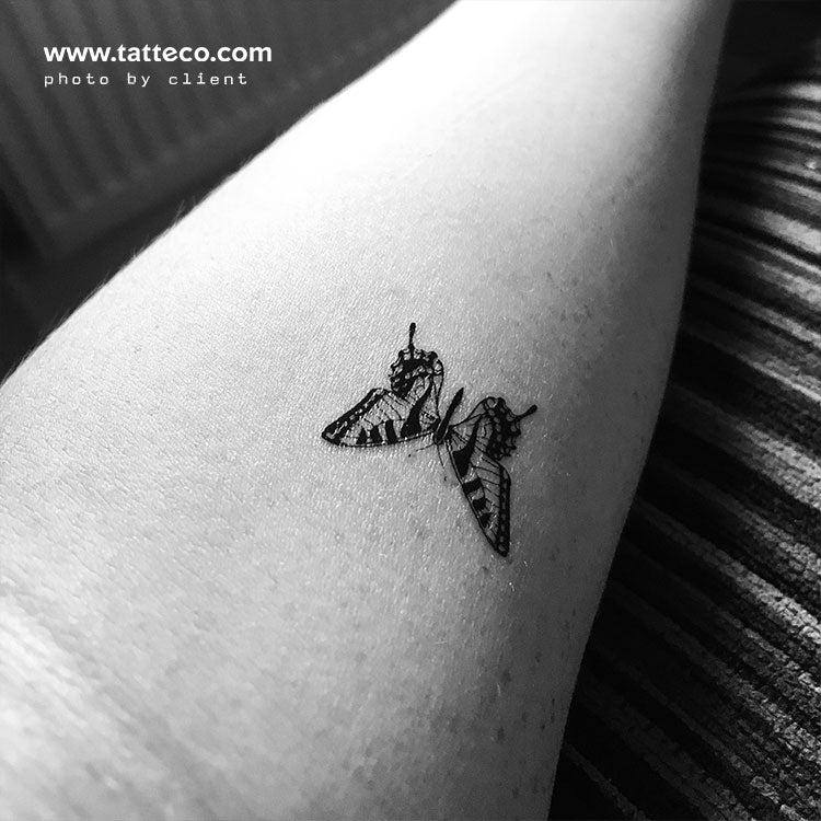 Tiger Butterfly Temporary Tattoo - Set of 3