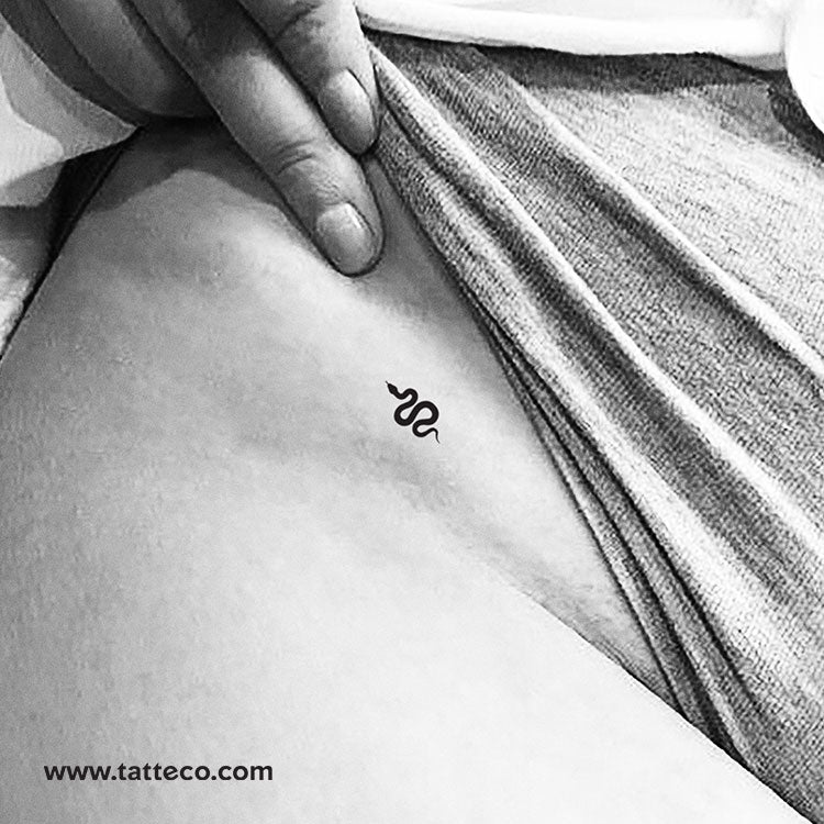 Tiny Black Snake Temporary Tattoo - Set of 3
