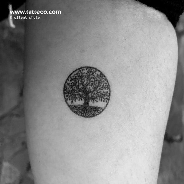 Small Tree of Life Semi-Permanent Tattoo - Set of 2